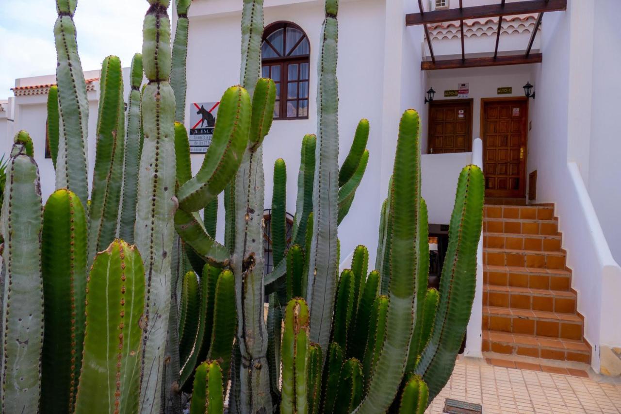 Las Bouganvillas 1 Bed Apartment In Costa Adeje Екстериор снимка